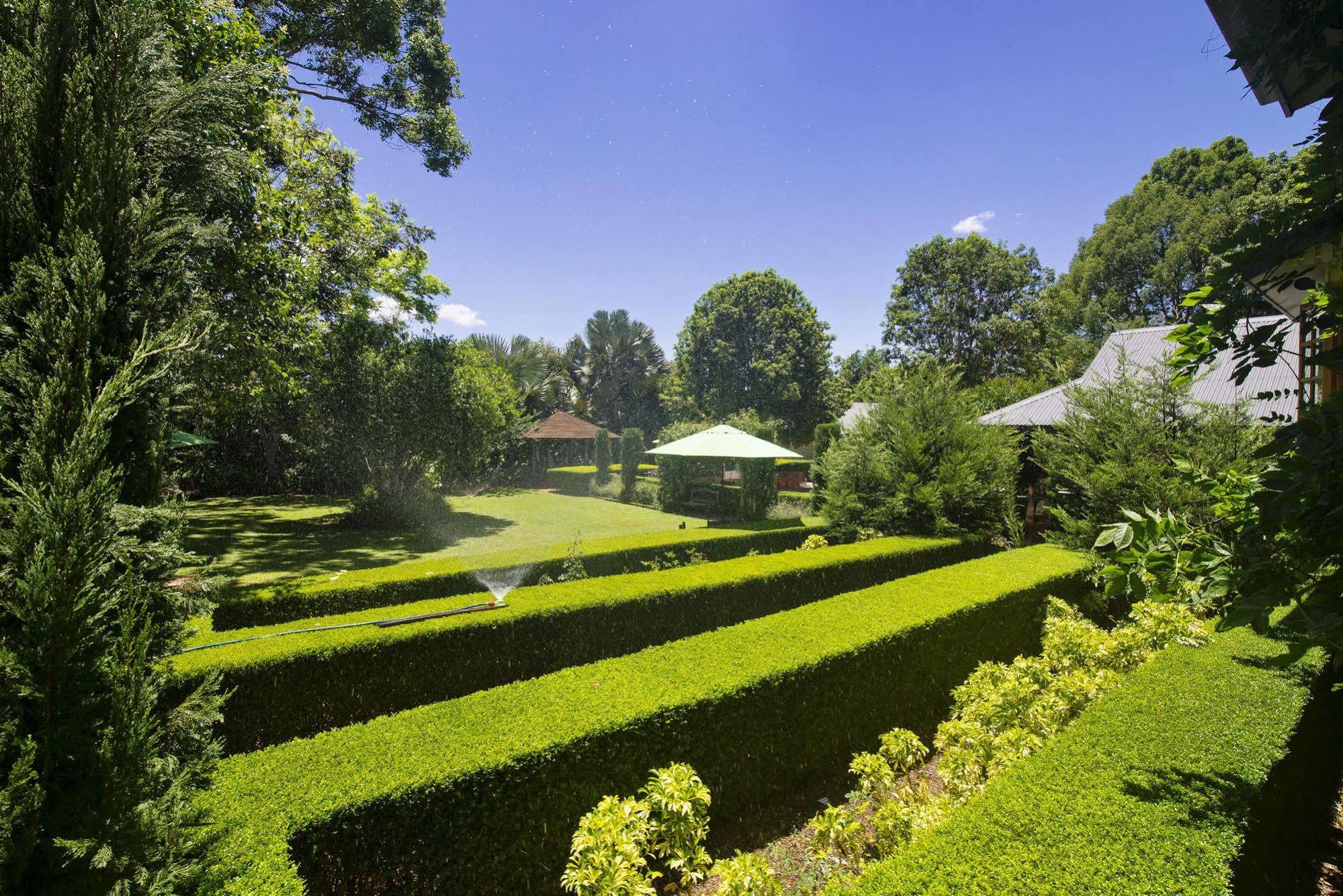 Allumbah Pocket Cottages Yungaburra Esterno foto